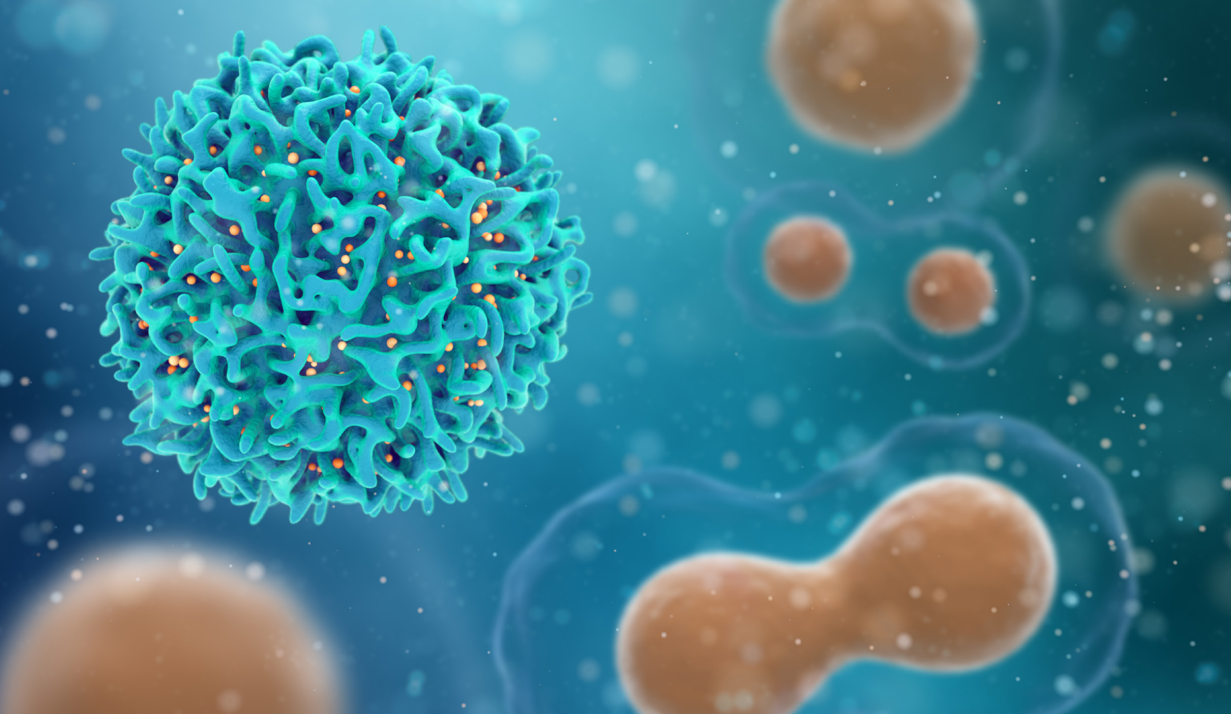 Accelerating Oncology Workflows